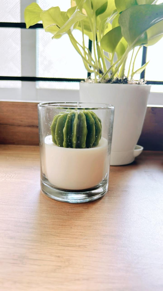 Cactus Jar Candle